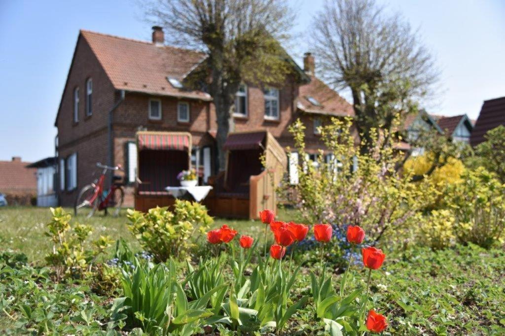 Hotel/Pension Bradhering Ahrenshoop Luaran gambar