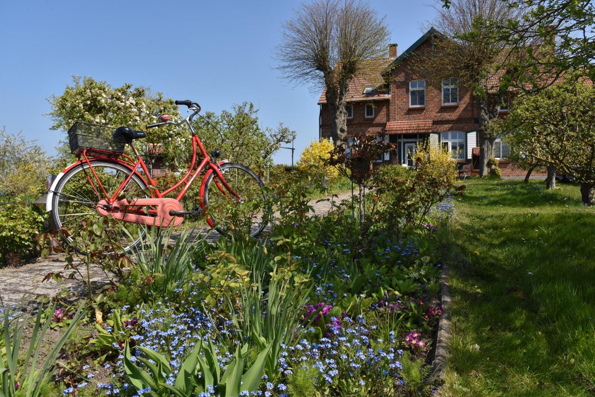 Hotel/Pension Bradhering Ahrenshoop Luaran gambar